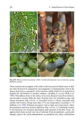 Page 216